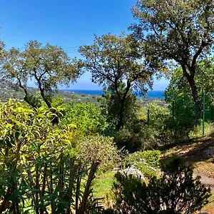  Appartement Les Restanques Vue 5 Pers Glycine 2067